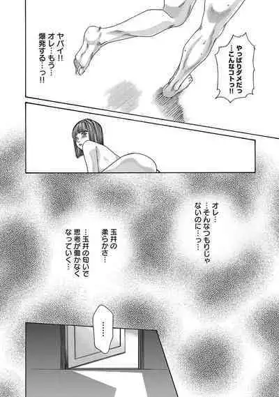 sense volume 13