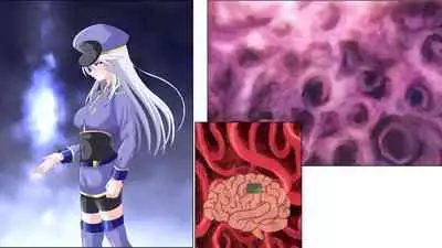 Brain Hack Fuhai Kokka ni Aragau Kakumeika no Matsuro