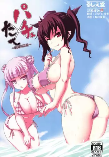 (C84) [Ruciedo (jema)] Pachi x Tate (Touhou Project)