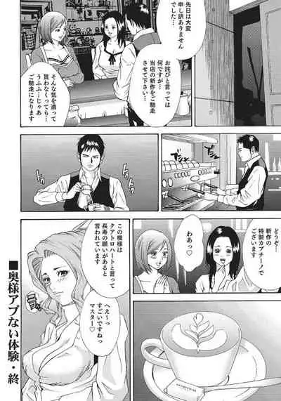 人妻艶熟ものがたり