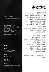 (COMIC1☆10) [Nipponbashi Dennougumi (Imotoka Tsuyuki)] PWTAC2 (Pokémon)