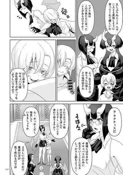 Succubus Kingdom