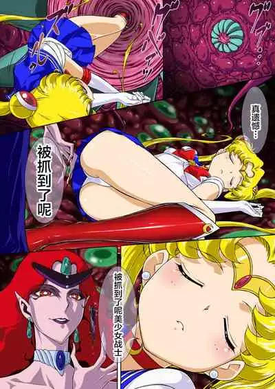 Sailor Moon Chu!
