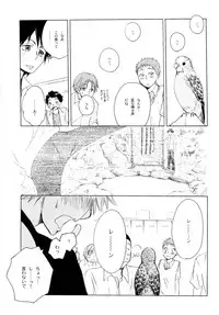 Wakaba no Koro