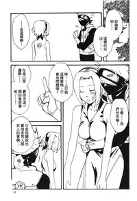 [Kishimoto Saisi] naruto ninja biography vol.02 (naruto) [chinese]