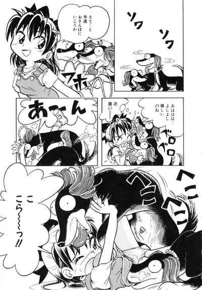Pocket ni Koukishin