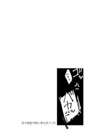 Kimi wa hatsukoi