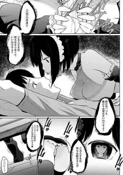 Houshi Shuzoku ga Yattekita!