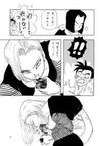 (C47) [Chirigami Goya, Fusuma Goten (Shouji Haruzo)] YY (Dragon Ball Z)