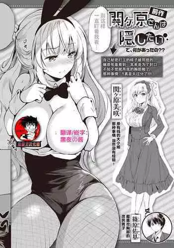 sekigaharasann ha tasshitai