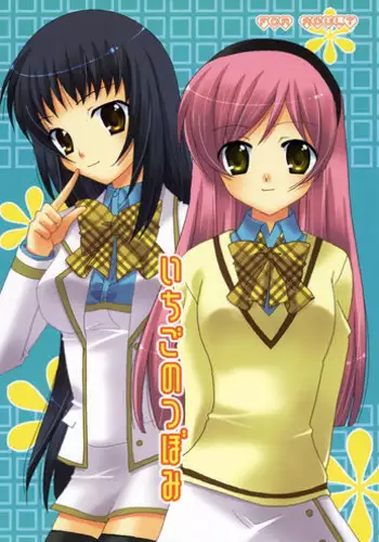 (C73) [ANGELBOX (Hazuki Ruka)] Onee-sama to Nekomimi Soudou (Strawberry Panic!)