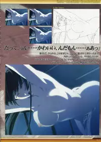 Dies irae Visual Fanbook - White Book