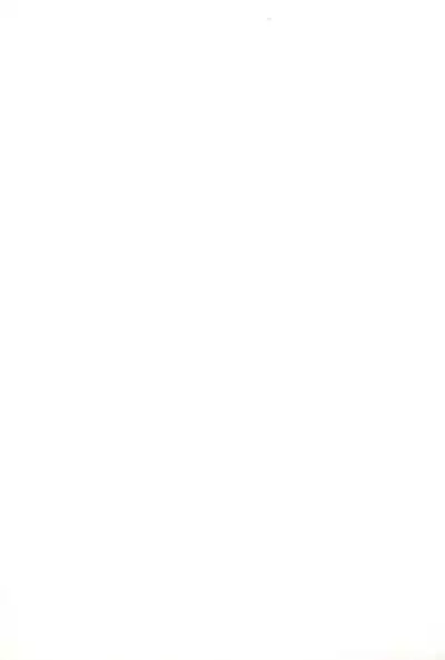 Puni-bon Moeru "Puni" Anthology