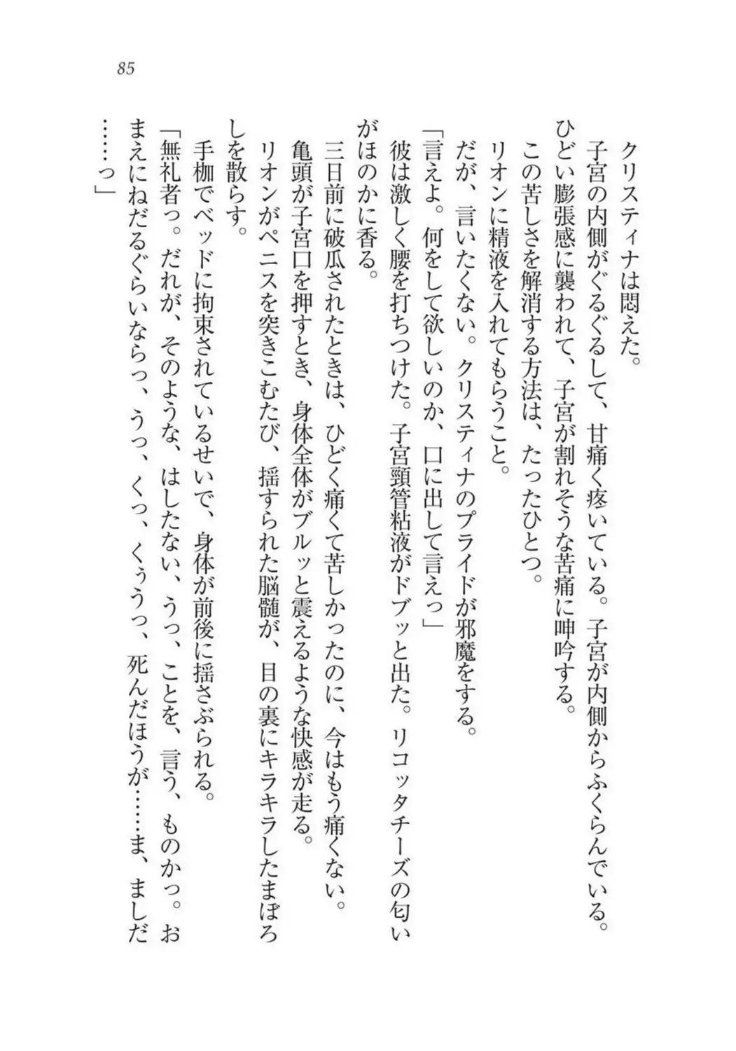 Christina Senki Houshi no Himekishi to Kokkyou no Shounin