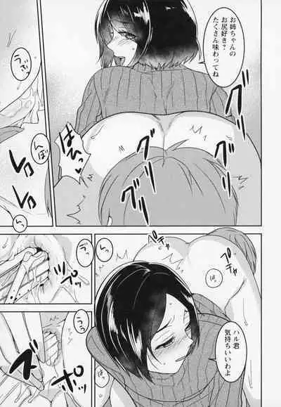 Himi no Otona Sekkusu