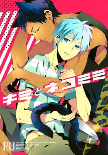 (Shadow Trickster 2) [ViViaN (JiN)] VIOLATION→FOULS (Kuroko no Basuke)