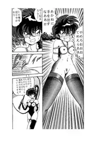 [Global One (Maro)] sadistic LaserDisc Kuro Bara-kan (Ranma 1/2)