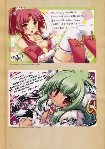 Shin Koihime Musou -Otome Ryouran Sangokushi Engi- Perfect Visual Book
