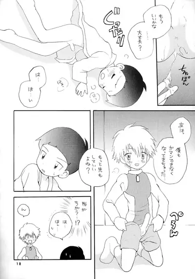 [Kuru Guru DNA (Hoshiai Hilo)] Seijitsu Na Hon (Digimon Adventure 02)