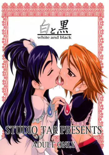 Canvas Sepia iro no motif Visual Fan Book