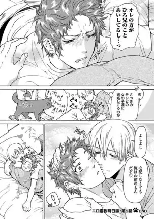 Ero Neko Kyouiku Nisshi