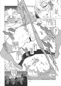 (C76) [Combat Mon-Mon (Hiratsura Masaru)] ANA TO YOME (Queen's Blade)