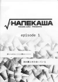 (C78) [Rikudou Juku (Rikudou Koushi)] ROOT HANEKAWA (Bakemonogatari)