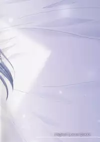 (CR33) [Digital Lover (Nakajima Yuka)] D.L. action 17 (Ragnarok Online)