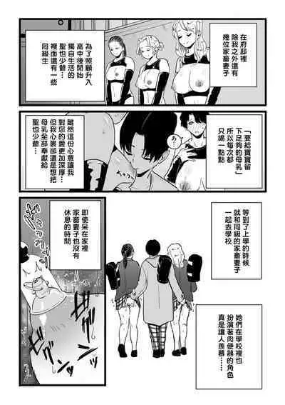 Mesu Dorei Sengen denshi tokusou ban egaki oroshi manga