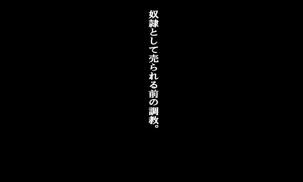 Dorei Hanbai Shūraku ~Sengo no Nihon~