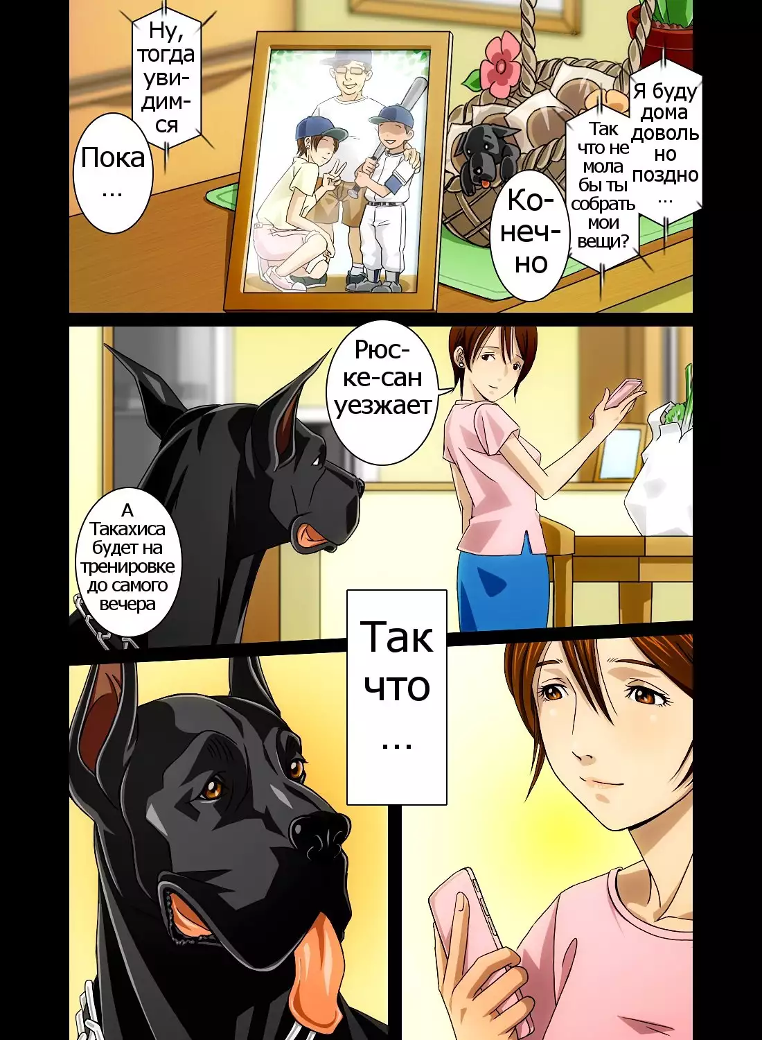 “Wonderful Life” ~Shufu to “Aiken” no Hisoyaka na Gogo~