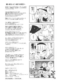 (C74) [Sekai Chizu wa Chi no Ato (jude)] SAMURAI GIRL!!!!!!!! (Touhou Project)