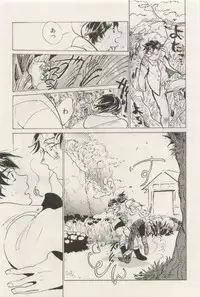 Canna Vol.40
