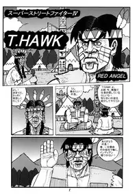 [Motsu Ryouri (Motsu)] Kakutou Musume Houimou vol. 4 (Street Fighter) [Digital]