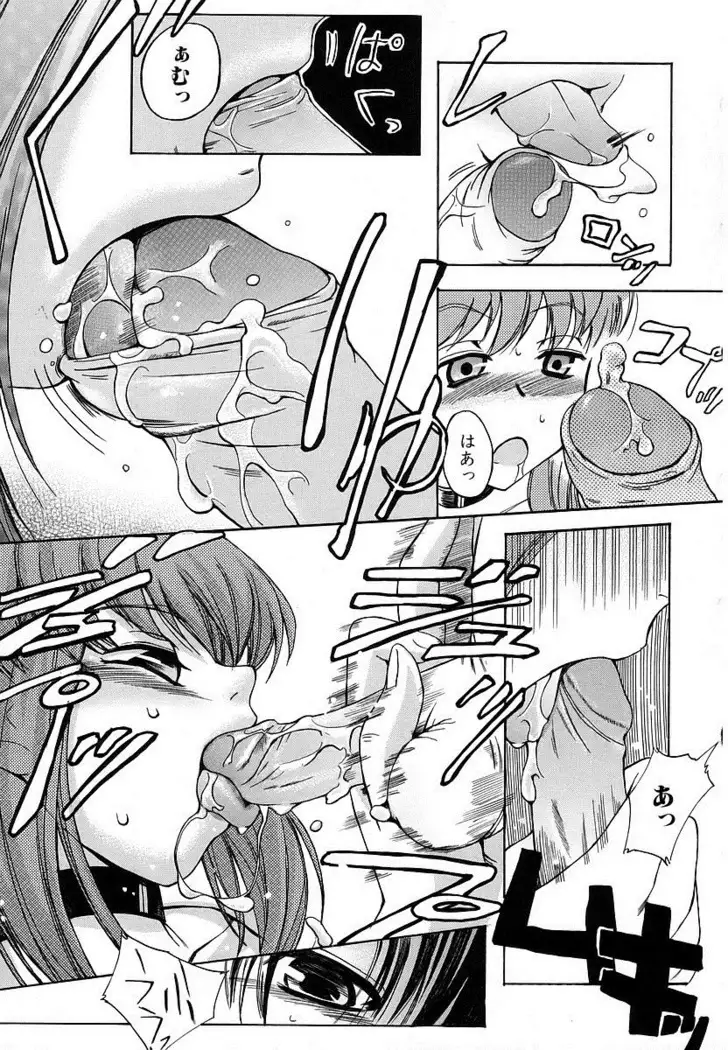 Hatsu Inu - Anfang Hund | 초 견