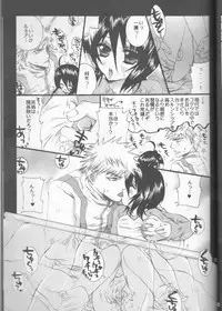 (C70) [PONCHEES (KARI) (Irohane Sui)] Rukia Kuchiki Minimum Maniax File (BLEACH)