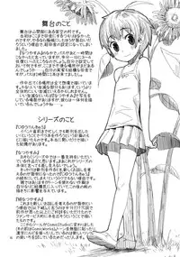 (COMITIA91) [ponz.info (Ponz)] Motto! Natsuyasumi Series Soushuuhen