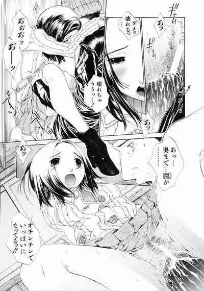 Sekisei