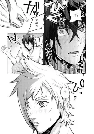 Lucis Cat Prince