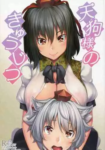 (Reitaisai 11) [Area14 (Kasei)] Ikenai Shujuukankei (Touhou Project) [Chinese] [惡墮事故調查X無毒漢化組]