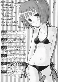 Comic Papipo 2004-07