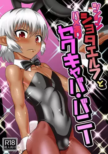 鬼！对阵暗精灵！甜甜腻腻！情意浓浓！新婚的蜜月传说 Ogre tai Dark Elf II Love Love! Shinkon Daisakusen［Chinese］［无机咖啡酸个人汉化］