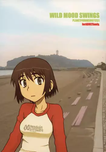 Hikoukai Plan 2 | Private Sub Plan 2