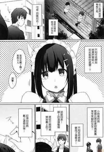 Houshi Shuzoku ga Yattekita!