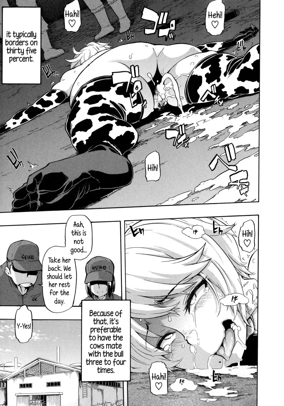 a dairy cow's life