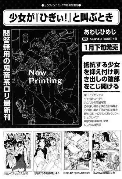 Shoujo Kumikyoku 17