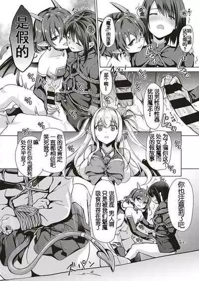 Succubus Company