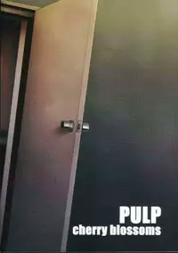 (C62) [prettydolls (Araki Hiroaki)] PULP cherry blossoms (Street Fighter)