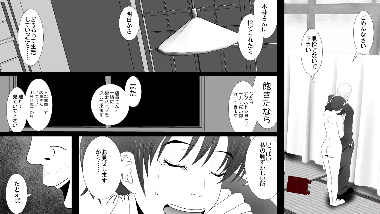 Kane o Haraeba Tsuma no Ana wa Dare demo Tsukaeru