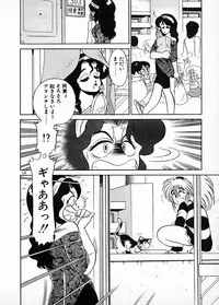 [Wing Bird] Oneesama to Oyobi